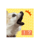 プリンセス・プリンちゃん（個別スタンプ：8）
