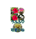 薔薇とサボテンとDOG（個別スタンプ：34）