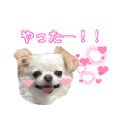 みるくのスタンプ♡3（個別スタンプ：2）