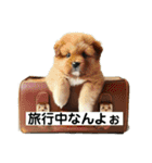 子犬の日常挨拶編広島弁（個別スタンプ：14）