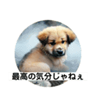 子犬の日常挨拶編広島弁（個別スタンプ：16）