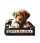 子犬の日常挨拶編広島弁（個別スタンプ：19）