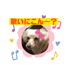 ココの日常(方言あり)（個別スタンプ：2）