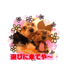 ココの日常(方言あり)（個別スタンプ：4）