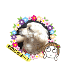 ココの日常(方言あり)（個別スタンプ：12）