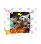 ココの日常(方言あり)（個別スタンプ：13）