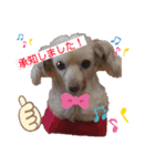 ココの日常(方言あり)（個別スタンプ：14）
