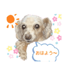 ココの日常(方言あり)（個別スタンプ：17）