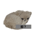 可愛いクムさん♡1（個別スタンプ：20）