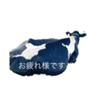 わたぼくの牛さんスタンプ（個別スタンプ：4）