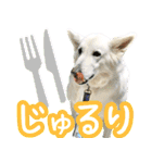 ホワイトキャッスルDakota（個別スタンプ：14）