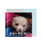 LUNA＆SEAまいった！！((／＿；)／)（個別スタンプ：1）