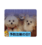 LUNA＆SEAまいった！！((／＿；)／)（個別スタンプ：2）