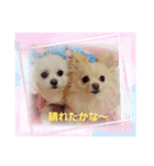 LUNA＆SEAまいった！！((／＿；)／)（個別スタンプ：3）