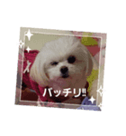 LUNA＆SEAまいった！！((／＿；)／)（個別スタンプ：5）