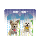 LUNA＆SEAまいった！！((／＿；)／)（個別スタンプ：6）