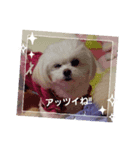 LUNA＆SEAまいった！！((／＿；)／)（個別スタンプ：7）