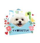 LUNA＆SEAまいった！！((／＿；)／)（個別スタンプ：8）