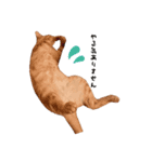 ちゃちゃまるねこすたんぷ（個別スタンプ：3）
