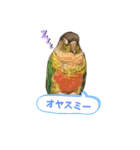 ウロコインコ時々ハシビロコウ（個別スタンプ：8）