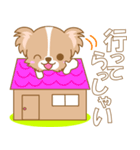 わんこ日和(パピヨン②)‐toYvu-（個別スタンプ：12）