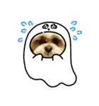 シーズー 茶々丸くん 3（個別スタンプ：9）