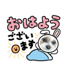 シーズー 茶々丸くん 3（個別スタンプ：22）