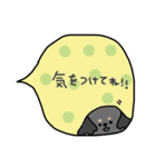 あめこちゃんず 吹き出し（個別スタンプ：11）