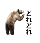 ⚫グリズリーベア～クマの逆襲～（個別スタンプ：2）