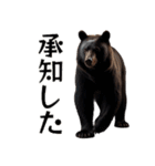 ⚫グリズリーベア～クマの逆襲～（個別スタンプ：7）