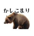 ⚫グリズリーベア～クマの逆襲～（個別スタンプ：15）