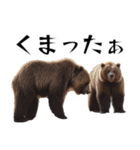 ⚫グリズリーベア～クマの逆襲～（個別スタンプ：22）