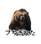 ⚫グリズリーベア～クマの逆襲～（個別スタンプ：38）