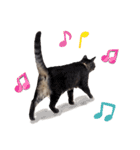 【実写】キジトラ猫のきょうだい（個別スタンプ：32）