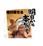みうら専用みうら5（個別スタンプ：3）