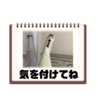 みうら専用みうら5（個別スタンプ：11）