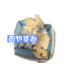 mochi820-2（個別スタンプ：2）