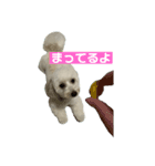 mochi820-2（個別スタンプ：4）