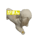 mochi820-2（個別スタンプ：5）