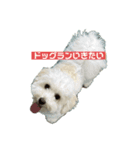 mochi820-2（個別スタンプ：7）