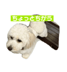mochi820-2（個別スタンプ：8）
