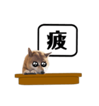 柴犬福くんニュース（個別スタンプ：20）