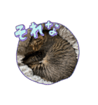 ひとこともなか（個別スタンプ：26）