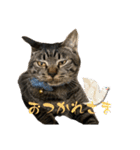ひとこともなか（個別スタンプ：32）