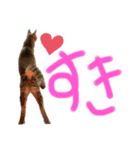 しもてぃーず12（個別スタンプ：8）