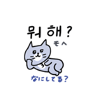 あやしい韓国語の灰色キャット（個別スタンプ：15）