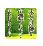 季語のある丁寧な挨拶（6～8月）（個別スタンプ：1）