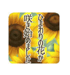 季語のある丁寧な挨拶（6～8月）（個別スタンプ：13）