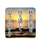 季語のある丁寧な挨拶（6～8月）（個別スタンプ：22）