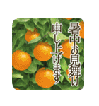 季語のある丁寧な挨拶（6～8月）（個別スタンプ：25）